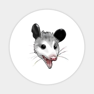 Happy possum Magnet